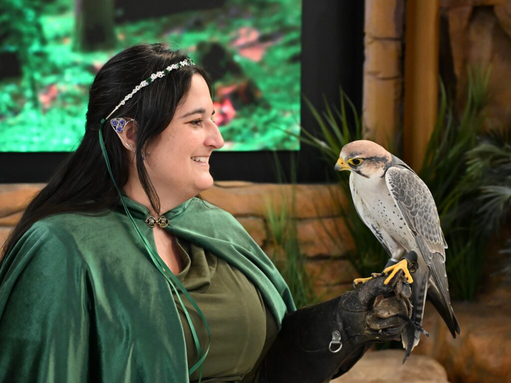 Cathy Schlott dressed in ren faire attire as she holds a Lanner Falcon on her gloved hand